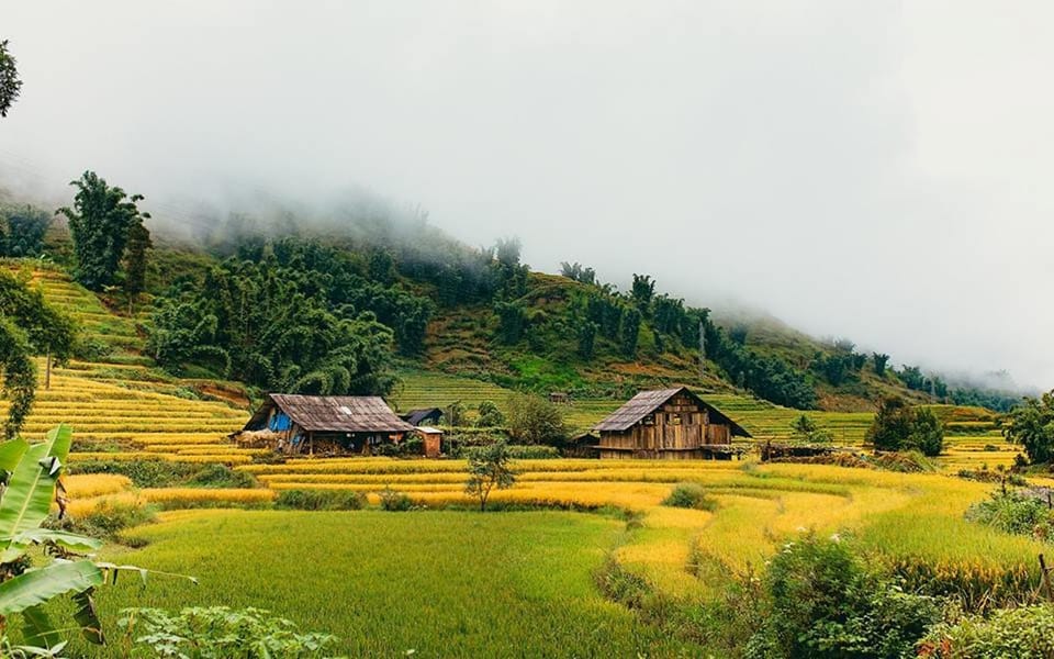 sapa