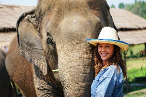 From Chiang Mai: Ethical Elephant Sanctuary Day Tour