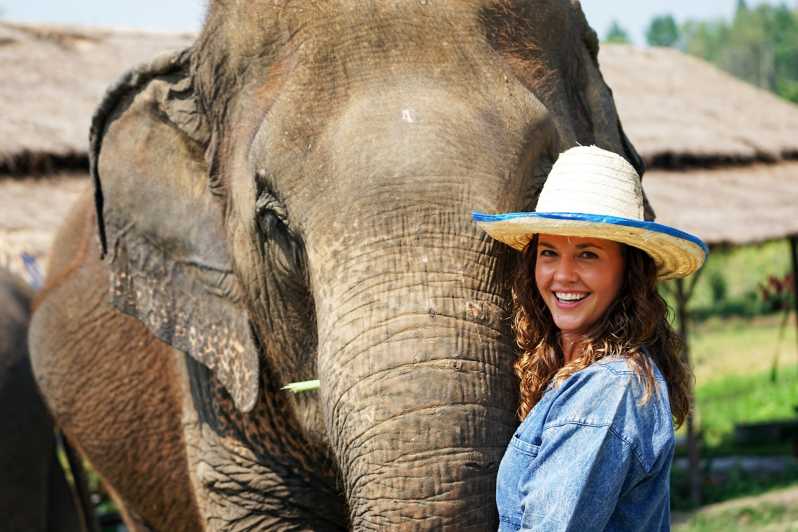 Chiang Mai : journée dans un sanctuaire d'éléphants éthique
