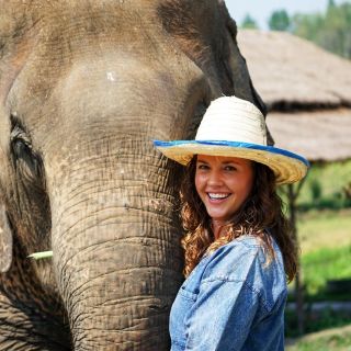 Chiang Mai: Small Group Ethical Elephant Sanctuary Tour