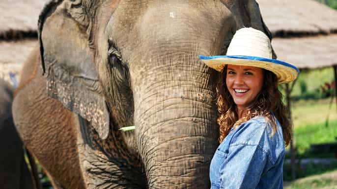 chiang mai elephant sanctuary small group ethical tour