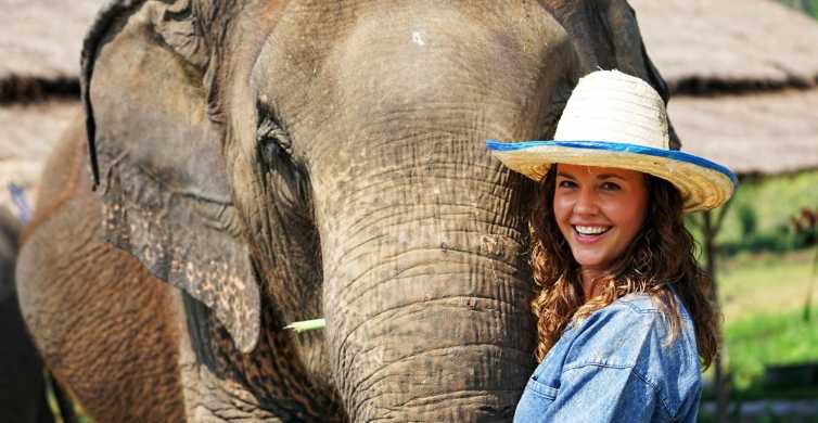Chiang Mai Small Group Ethical Elephant Sanctuary Tour GetYourGuide