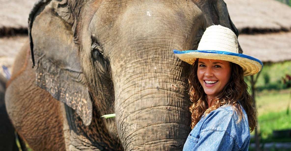 Chiang Mai: visite éthique du sanctuaire des éléphants en petit groupe