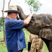 Chiang Mai : journée dans un sanctuaire d'éléphants éthique
