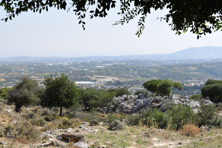 Heraklion: Authentic Greek Food Cooking Class