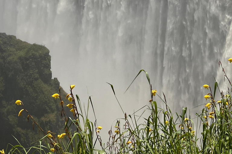 Victoria Falls: Guided Tour with Rainforest Walk