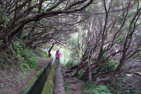 Madeira: Fontane di Rabaçal 25 Passeggiata di Levada e Cabo GirãoRabaçal: passerella e sentiero Levada das 25 Fontes