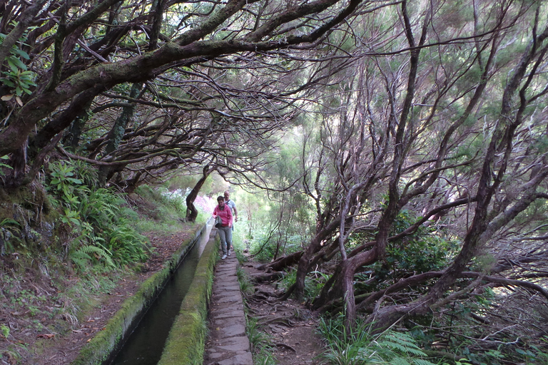 Madeira: Fontane di Rabaçal 25 Passeggiata di Levada e Cabo GirãoRabaçal: passerella e sentiero Levada das 25 Fontes