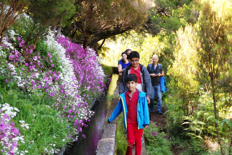 Depuis Funchal : levada des 25 fontaines et safari en 4x4