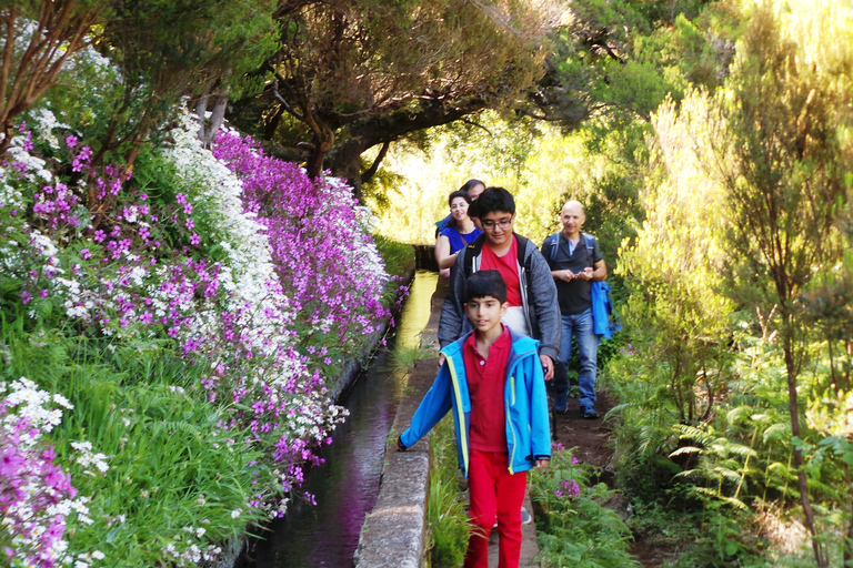 Vanuit Funchal: 25 fonteinen Levada wandeling en jeepsafari