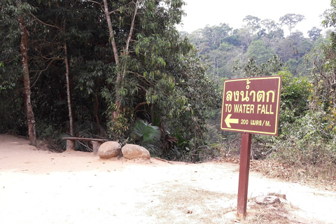 Nationaal park Khao Yai: junglewandeltocht vanuit BangkokNationaal park Khao Yai: junglewandeltocht in kleine groep