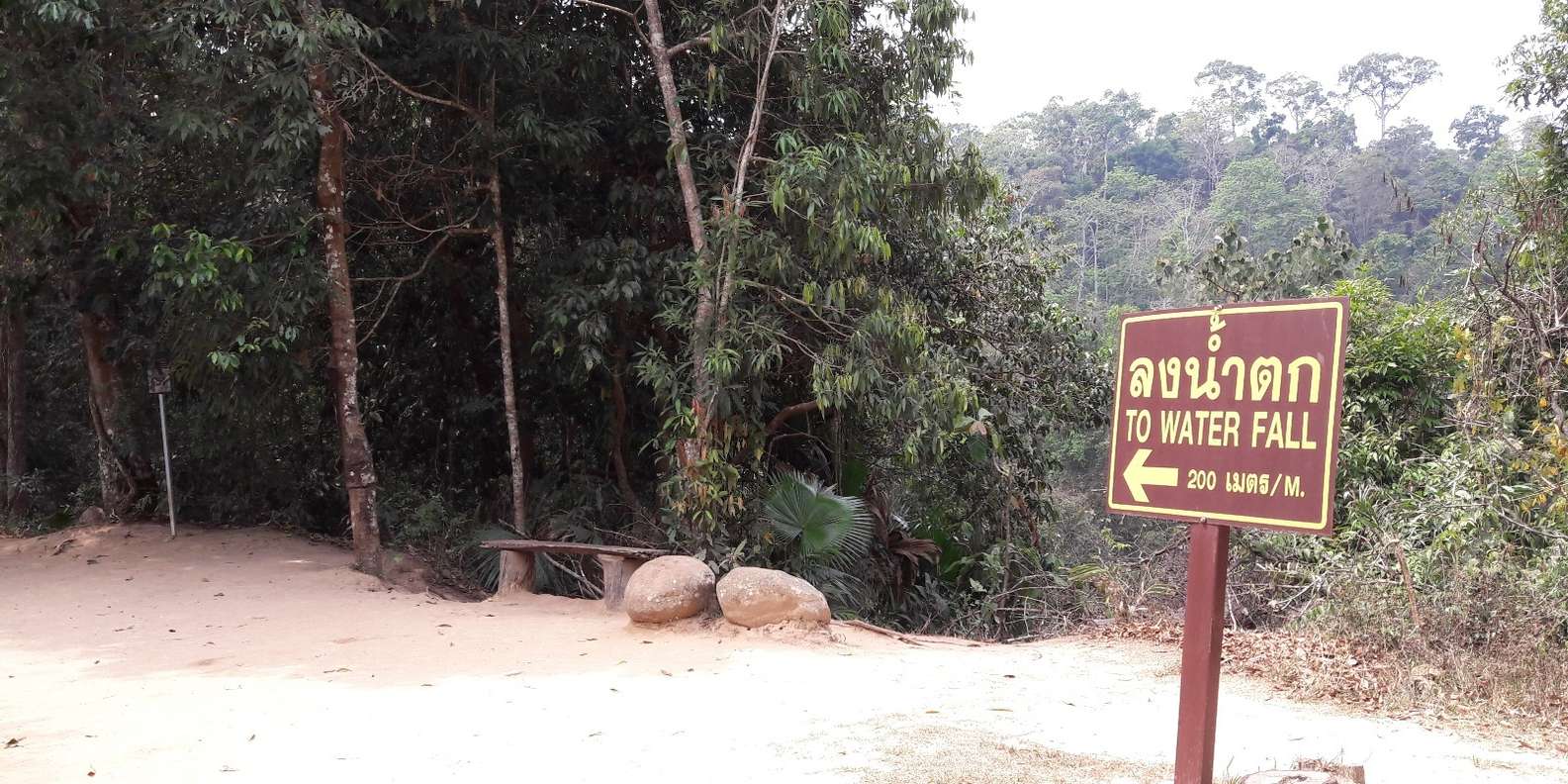 section