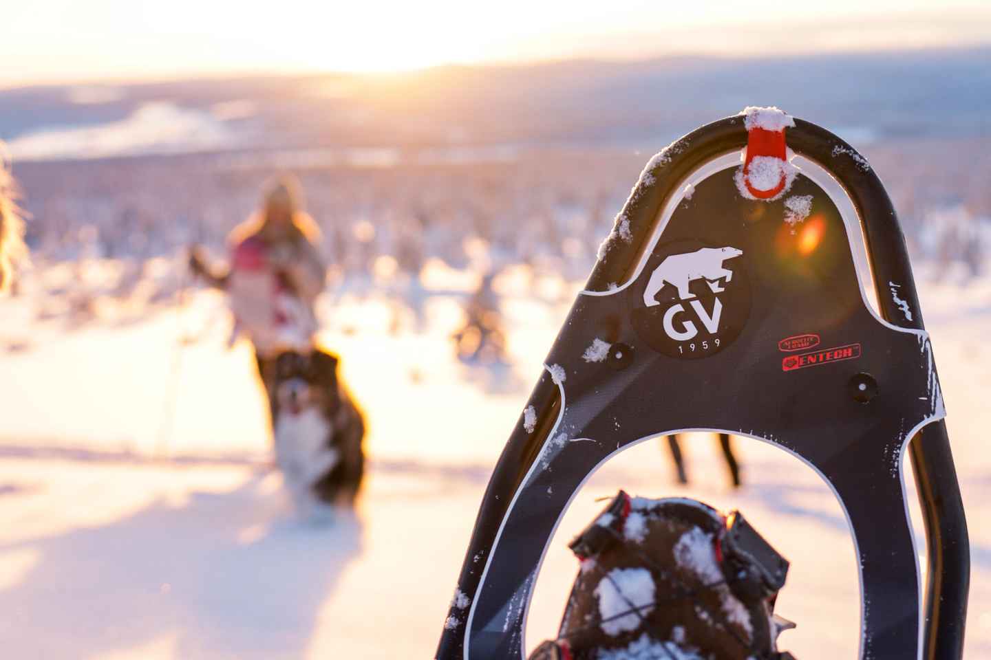 拉普兰乐维：雪地漫步全景体验