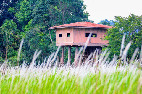 Nationaal park Khao Yai: junglewandeltocht vanuit BangkokNationaal park Khao Yai: junglewandeltocht in kleine groep