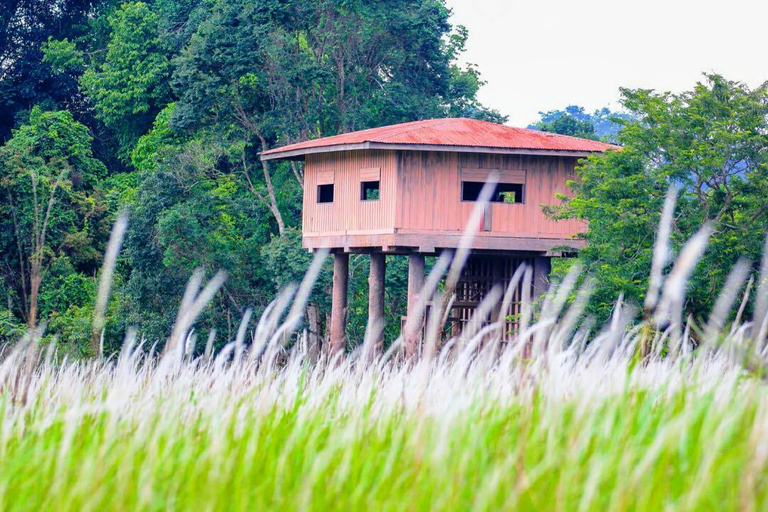 Nationaal park Khao Yai: junglewandeltocht vanuit BangkokNationaal park Khao Yai: junglewandeltocht in kleine groep