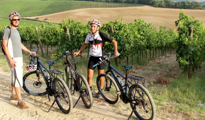 From Siena: Chianti Countryside E-Bike Tour w/ Lunch & Wine