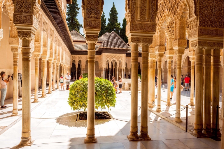Granada: Alhambra Complex Guided Tour Options Spanish Complete Access Tour