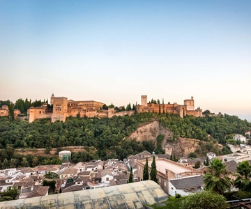 Alhambra Complex Guided Tour Options