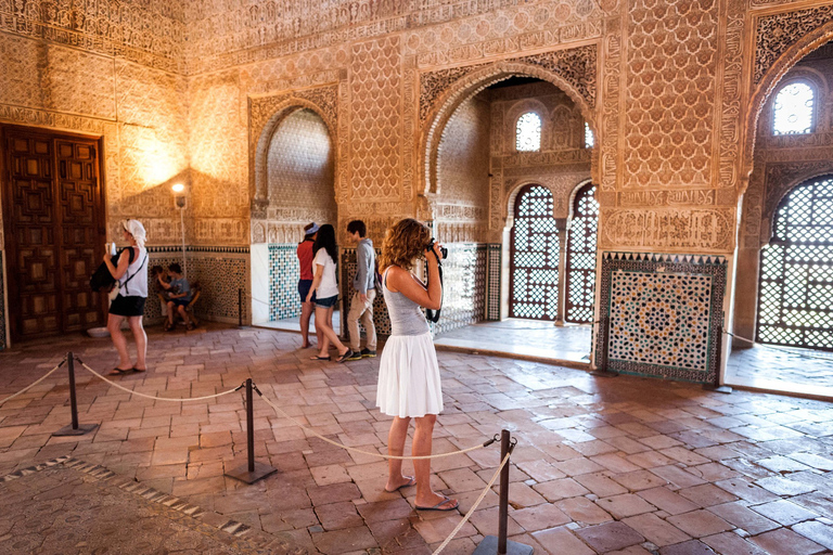 Grenade : visite guidée de l’Alhambra et des palais NasridesVisite en espagnol