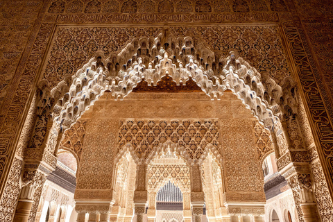 Grenade : visite guidée de l’Alhambra et des palais NasridesVisite en espagnol