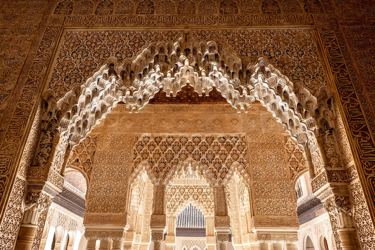 Alhambra e Palazzi Nasridi: tour guidato e accesso rapidoTour in inglese