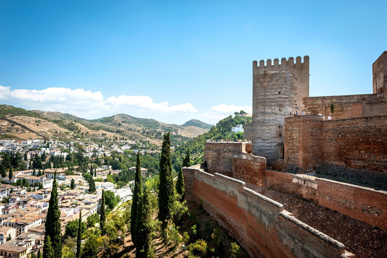 Alhambra &amp; Nasridenpaleizen: rondleiding versnelde toegangRondleiding in het Spaans