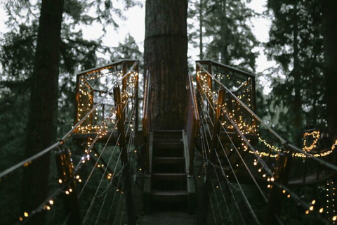 Vancouver Capilano Canyon luz e pico do Natal em Grouse