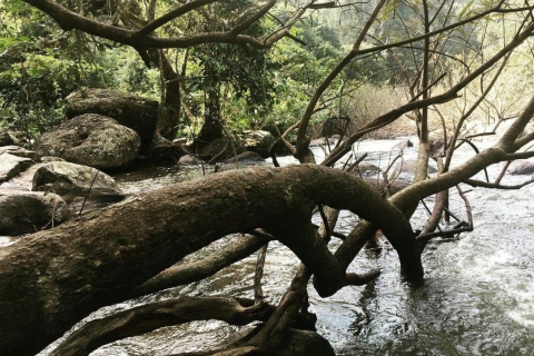 Nationaal park Khao Yai: junglewandeltocht vanuit BangkokNationaal park Khao Yai: junglewandeltocht in kleine groep