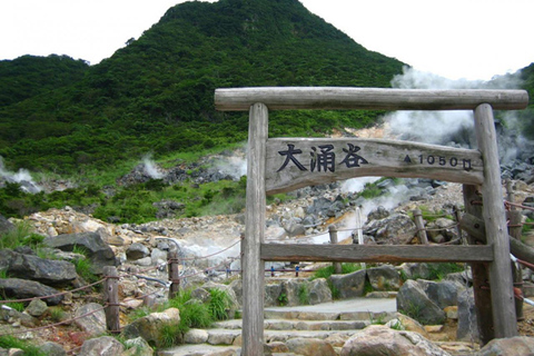 Mont Fuji : Oshino Hakkai, Hakone, Owakudani Cable Car Excursion d&#039;une journéeGare de Tokyo 8h00