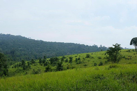 Khao Yai National Park Jungle Trekking Day Trip From Bangkok Khao Yai National Park Small-Group Tour