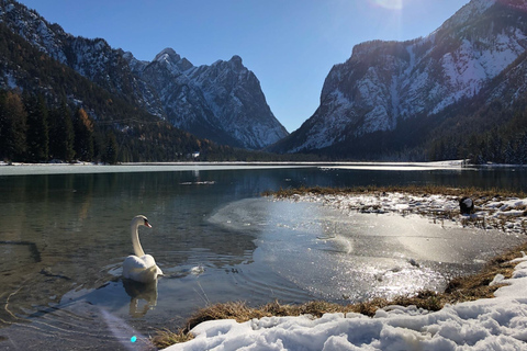 Venecia: Dolomitas y Cortina d'Ampezzo por Range Rover Sport