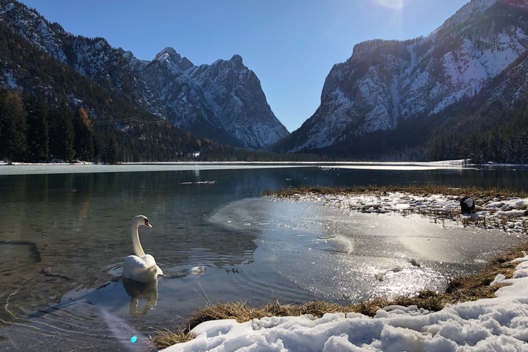 Venice: Dolomites & Cortina d'Ampezzo by Range Rover Sport