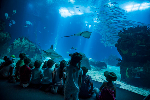 Hop-on Hop-off-buss med Oceanario-biljett72H 4 rader Hop on Hop off biljett med entré till Oceanarium