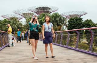 Singapur: Privattour mit Einwohner - Highlights & Geheimes