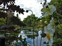 Giverny, Monet's House and Gardens Skip-the-Line Tour - Housity