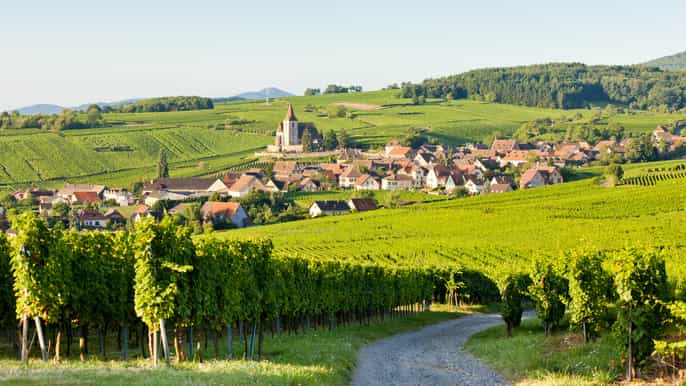 from colmar alsace villages tour and wine tasting