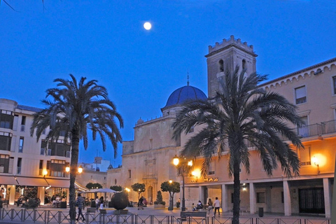 Elche: walking tour through the historic center and botanical garden Huerto de Cura