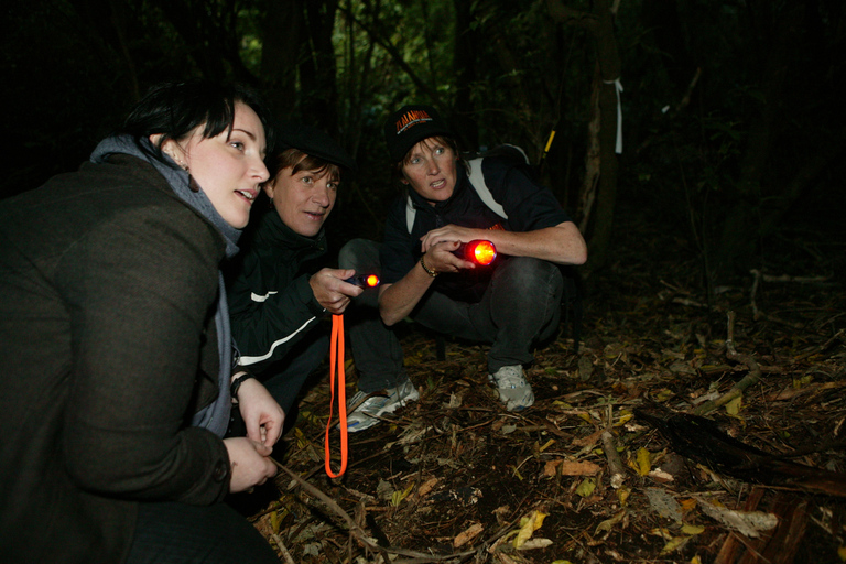 Zealandia: Erkundungstour bei Nacht