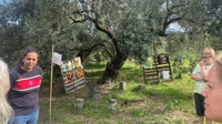 Nuoro, Visitez un moulin à huile avec dégustation d'huile - Hizvo