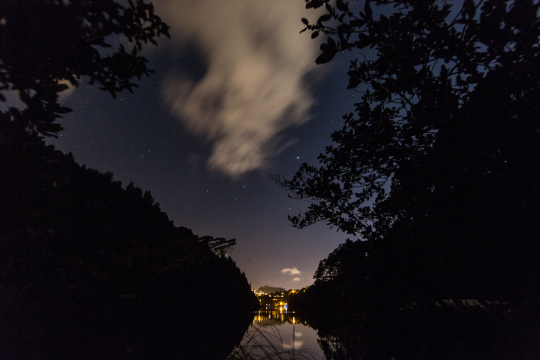 Zealandia by Night Tour