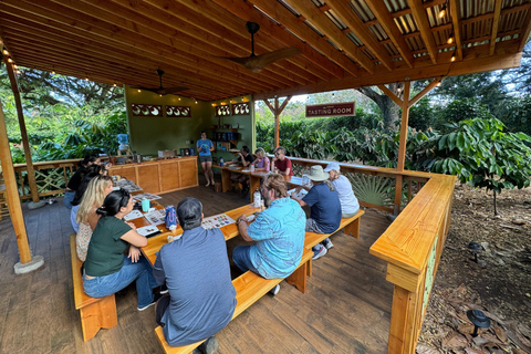 Oahu: Chocolate Farm Tour with Tasting - Kamananui Cacao