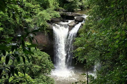 Nationaal park Khao Yai: junglewandeltocht vanuit BangkokNationaal park Khao Yai: junglewandeltocht in kleine groep