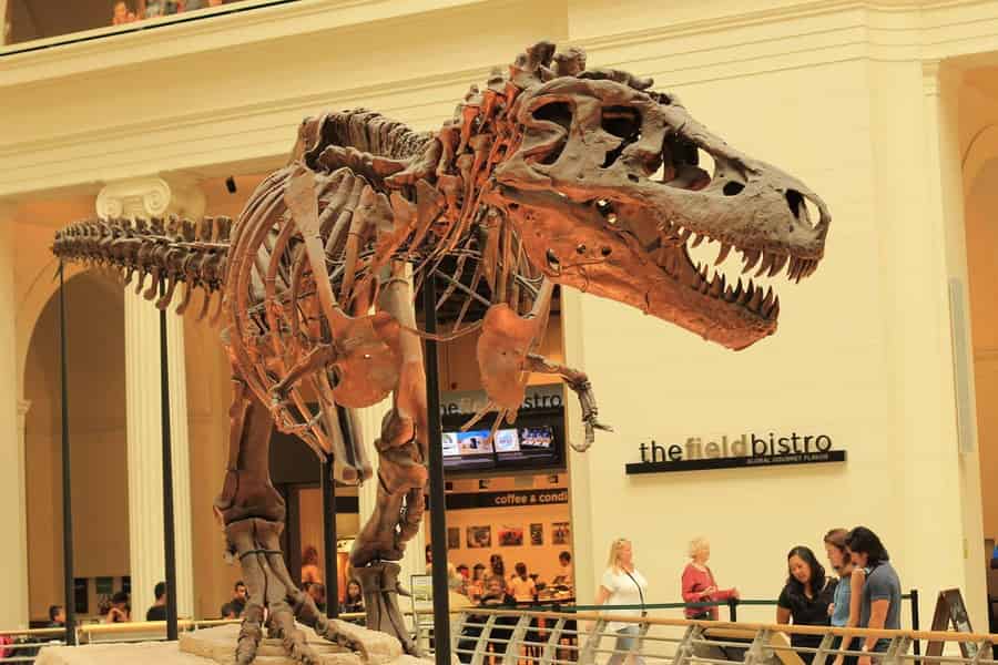 Chicago: Field Museum Ticket & Highlights Digitale Tour. Foto: GetYourGuide
