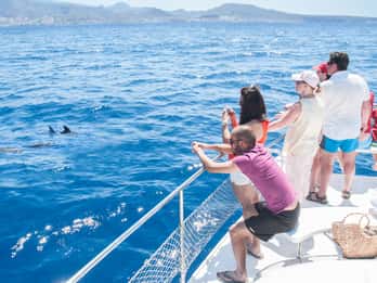 Teneriffa: Whale Watching-Tour Teneriffa: Whale Watching-Tour