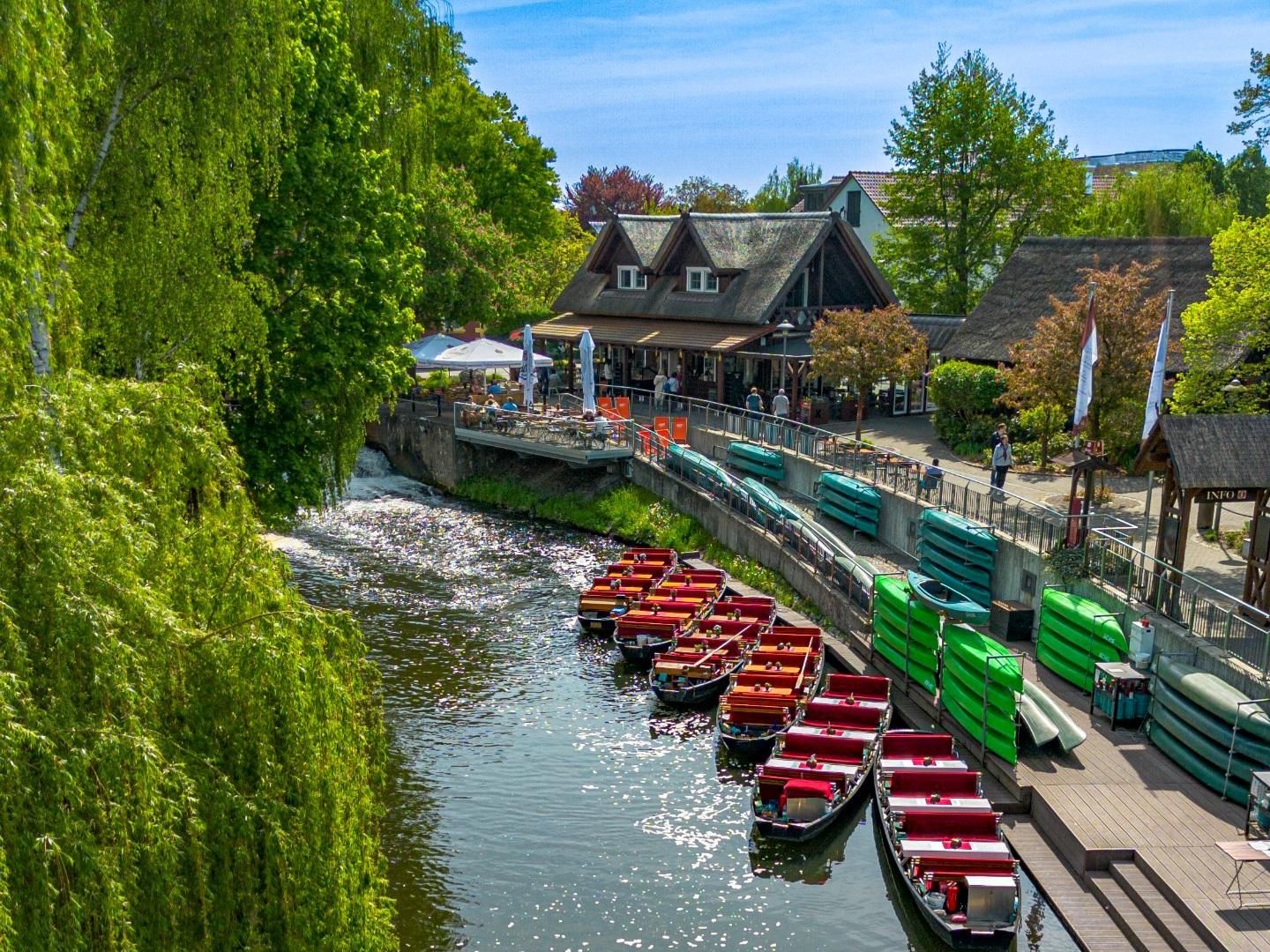 Burg: Sommerliche Bootsfahrt durch das Biosphärenreservat Spreewald