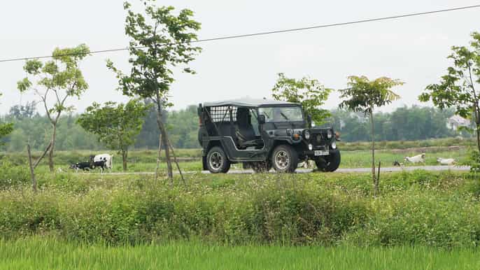 from hoi an tra que farming sunset cruise private tour