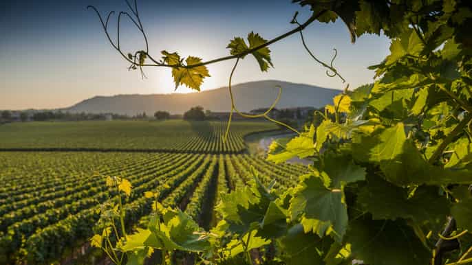 franciacorta tour degustazione di vini e shopping da milano
