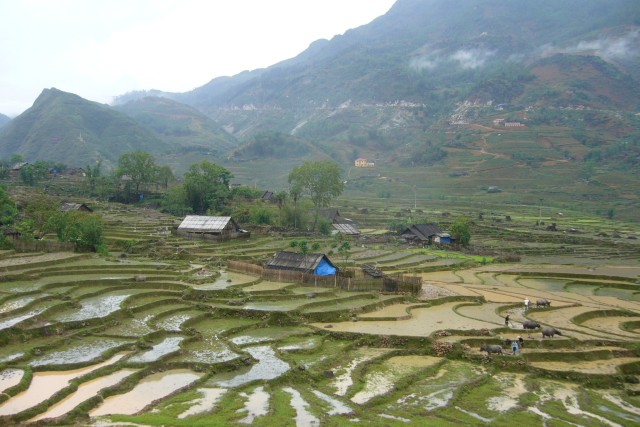 Sapa: 1-Day Trek through Muong Hoa Valley & Villages