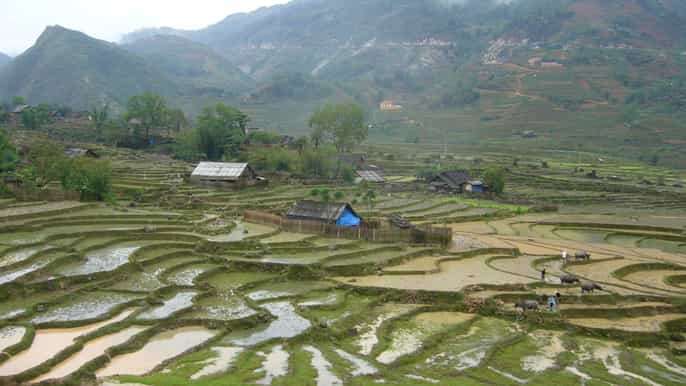 sapa 1day trek through muong hoa valley villages