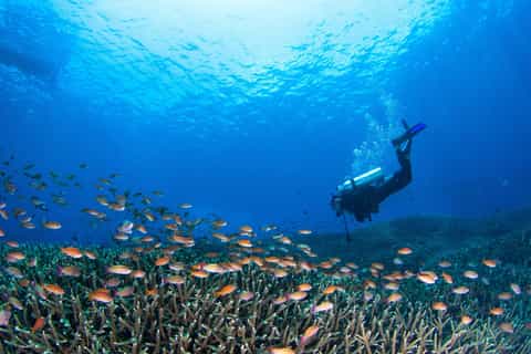 gili trawangan gili air gili meno spaßiger tauchausflug